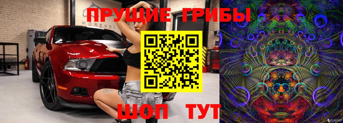 Псилоцибиновые грибы Psilocybe  Вход с VPN  наркота  Сургут 